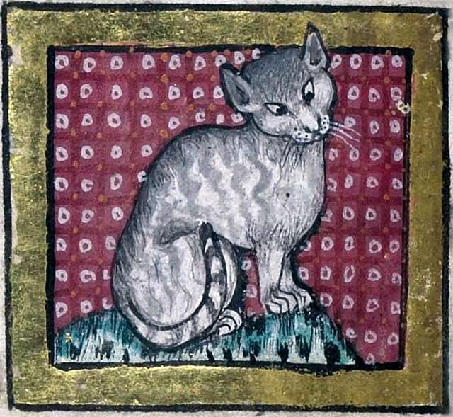 Medieval illustration of a grey tabby cat sitting on a green mound against a red patterned background.