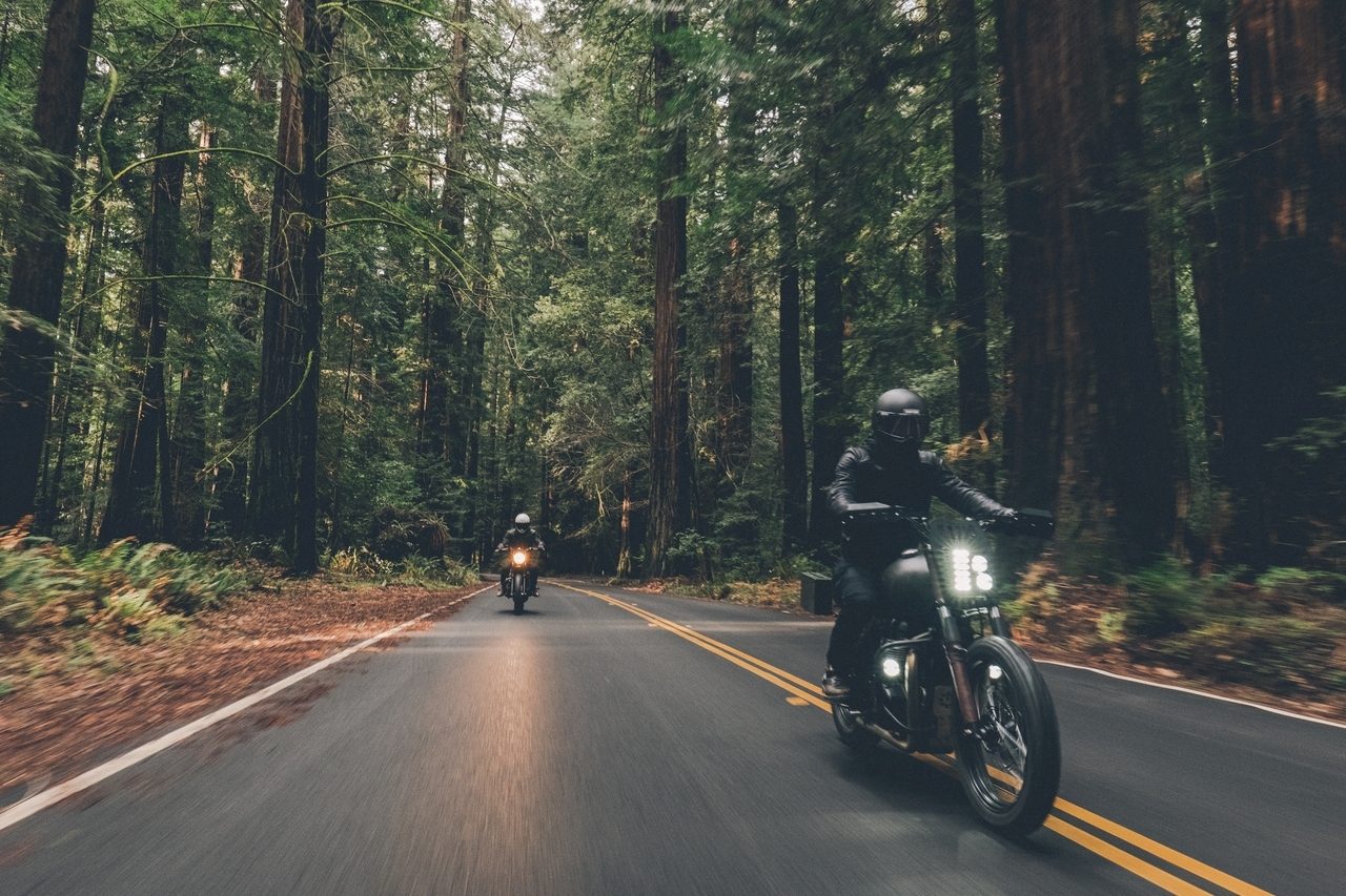Land vehicle, Automotive lighting, Road surface, Tire, Plant, Wheel, Motorcycle, Tree