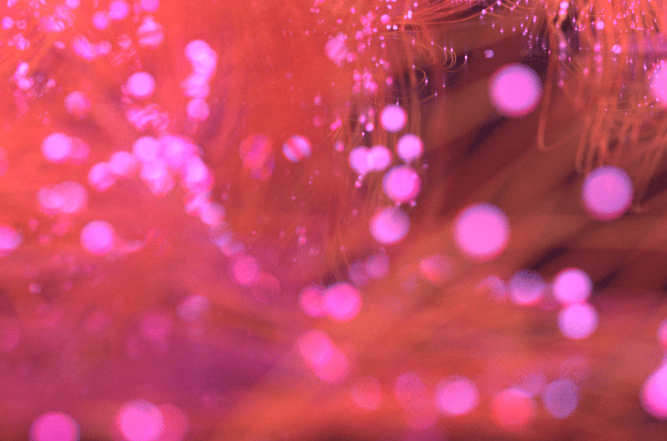 Water, Textile, Liquid, Organism, Pink