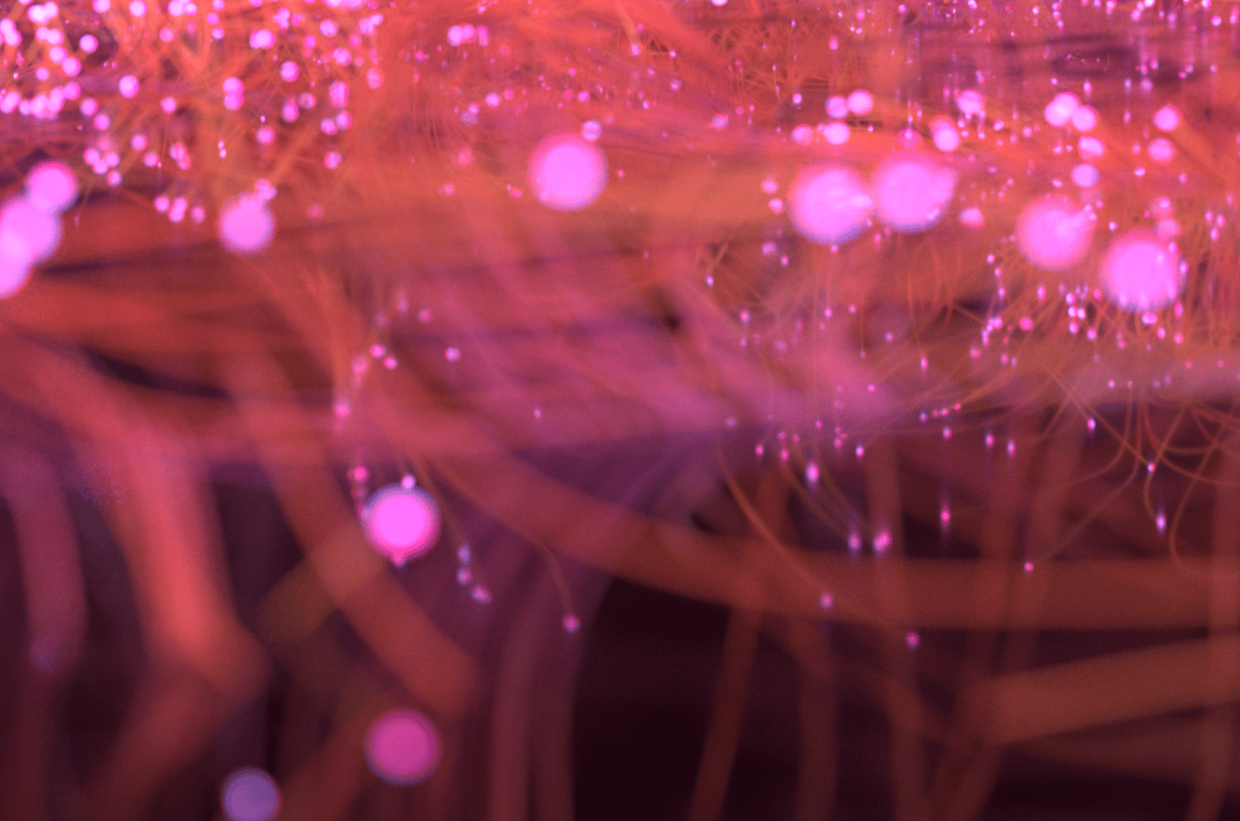 Water, Purple, Textile, Entertainment, Organism, Plant, Violet, Pink