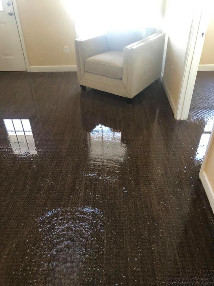Flood House