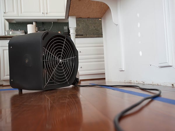 dehumidifier