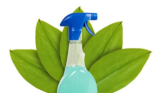 Plastic bottle, Tableware, Product, Azure, Plant, Dishware