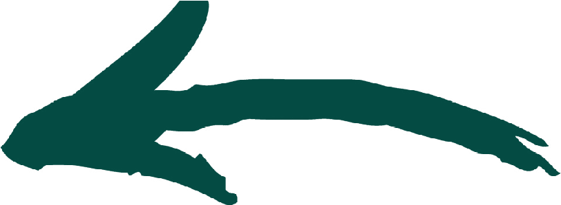 Abstract dark teal arrow pointing left.