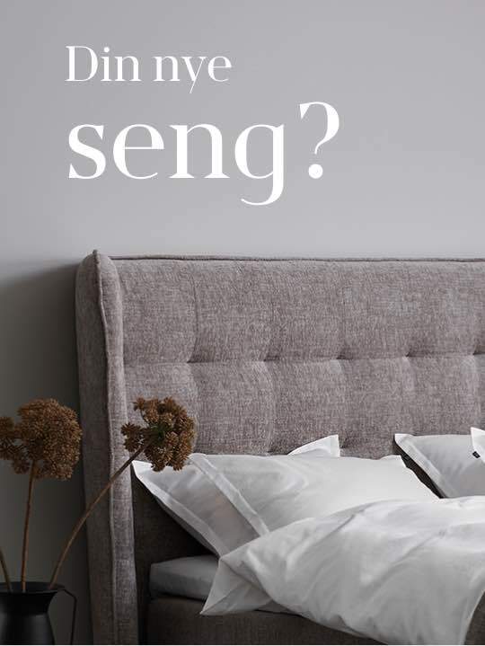 Interior design, Couch, Furniture, Plant, Comfort, Pillow, Rectangle, Textile, Grey, Lamp