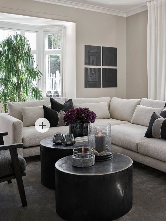 studio couch, Interior design, Living room, Furniture, Table, Plant, Grey, Floor, Window