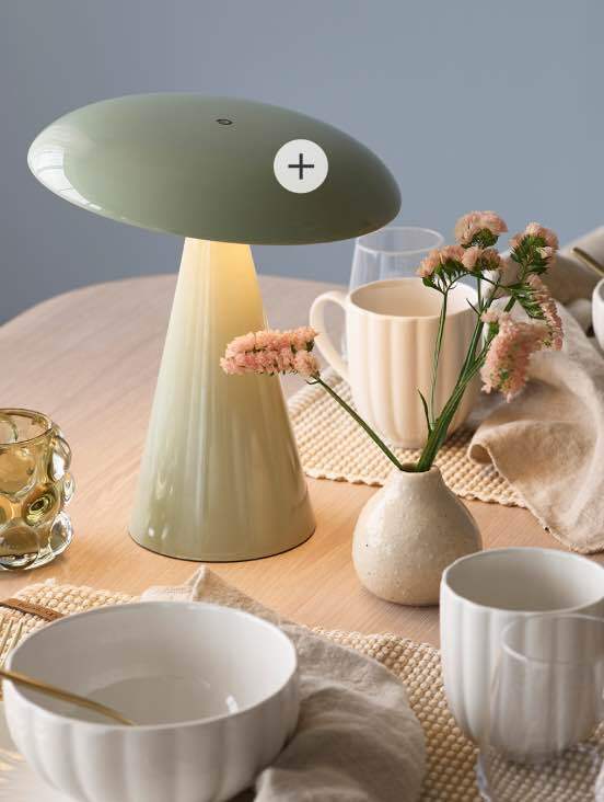 Interior design, Tableware, Dishware, Drinkware, Plant, Cup, Serveware, Lamp, Porcelain