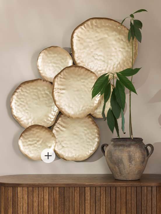 Plant, Flowerpot, Wood, Houseplant