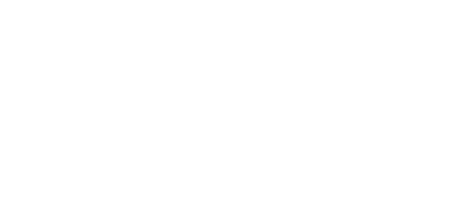 2023-2027 Strategic Plan growing with care