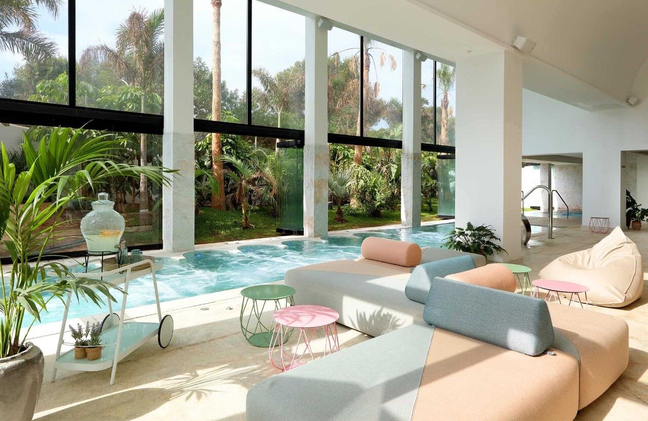 Interior design, Plant, Property, Azure, Couch, Table, Houseplant, Architecture, Shade, Flowerpot