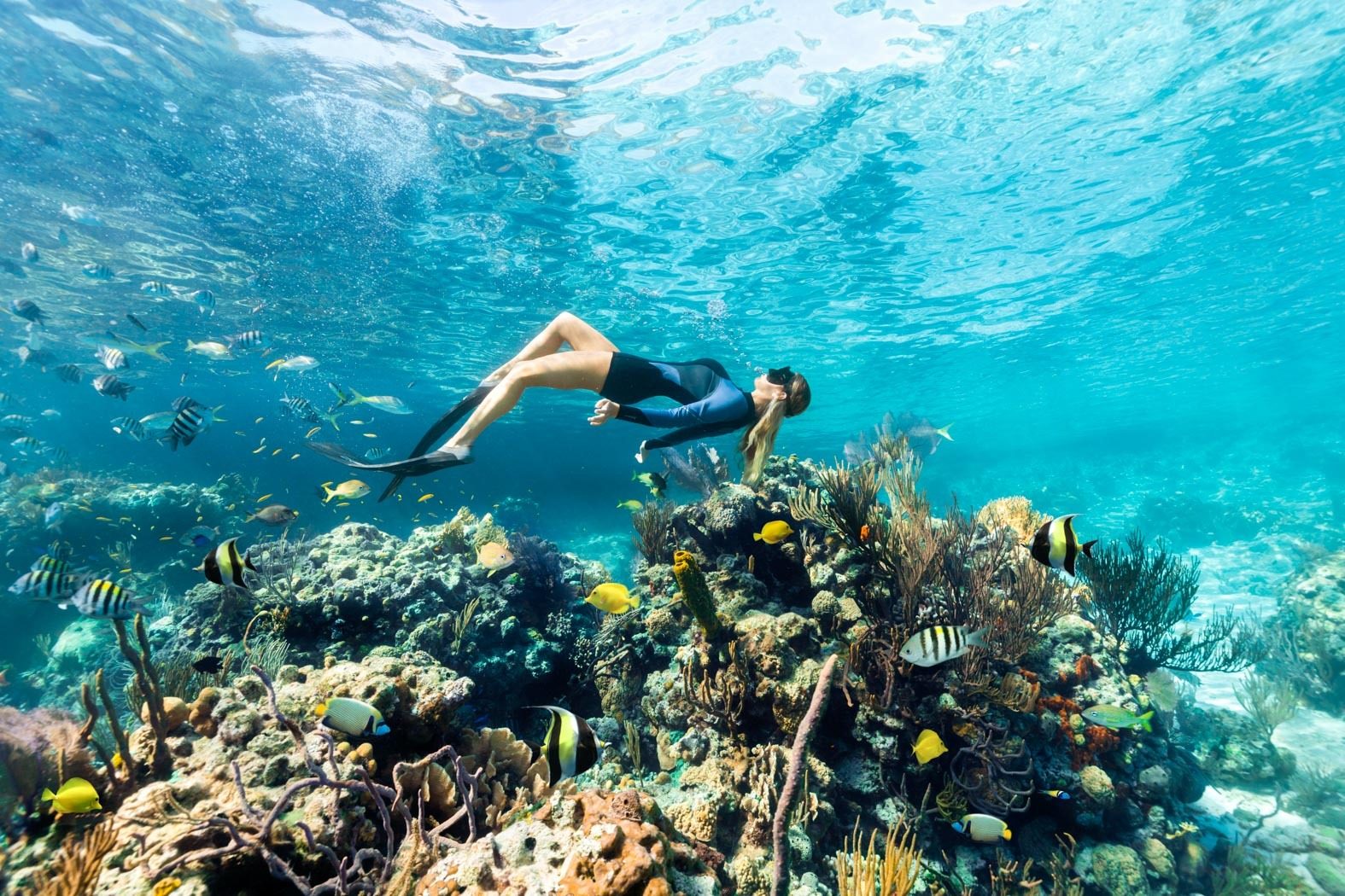 Coastal and oceanic landforms, Diving mask, Marine biology, Water, Underwater, Fluid