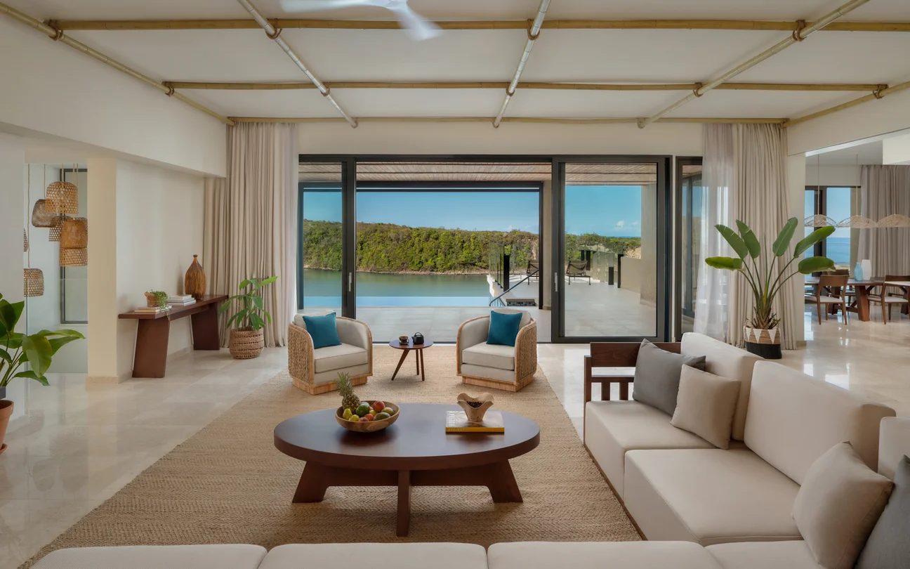 Plant, Furniture, Property, Houseplant, Couch, Azure, Water, Table, Shade, Comfort