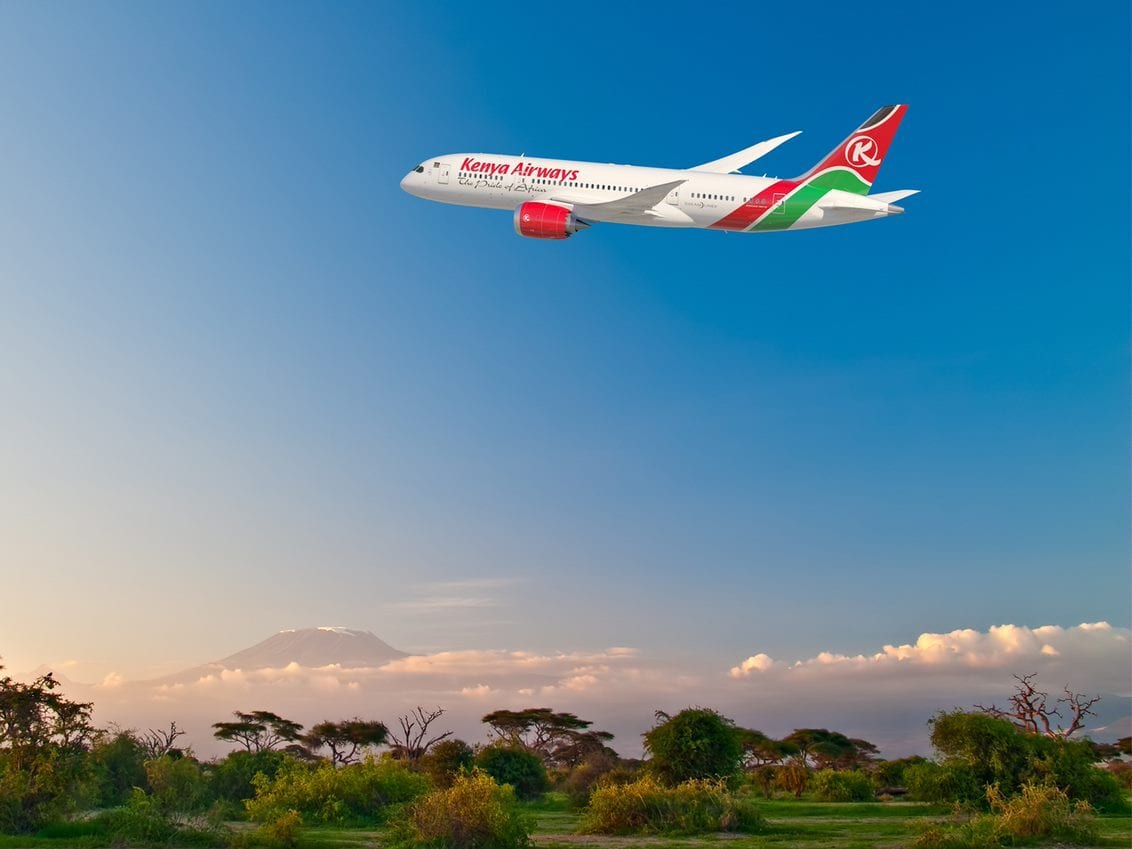 Sky, Plant, Daytime, Aircraft, Airplane, Cloud, Green, Vehicle, Flap, Tree