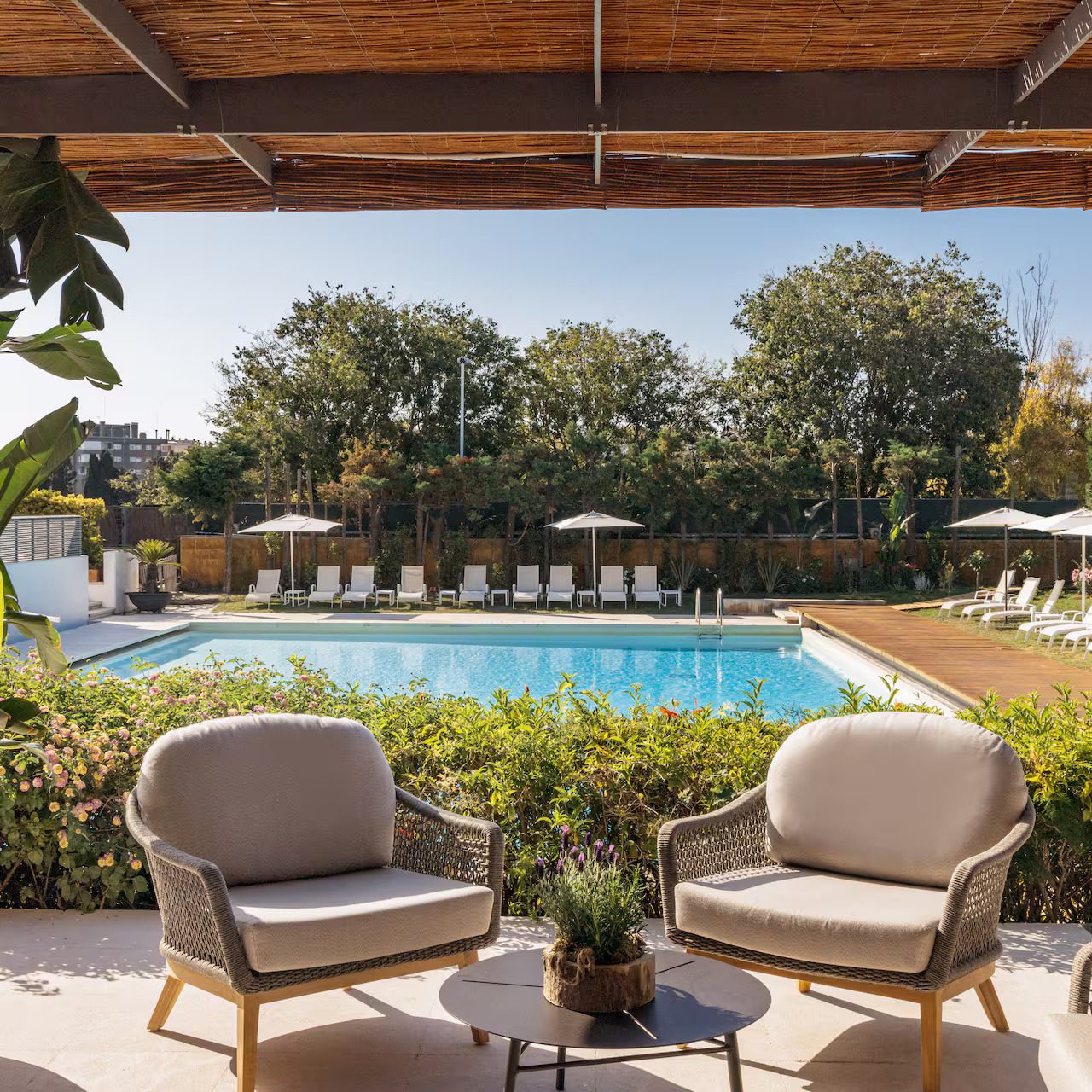 Swimming pool, Outdoor furniture, Interior design, Plant, Water, Property, Sky, Azure, Shade