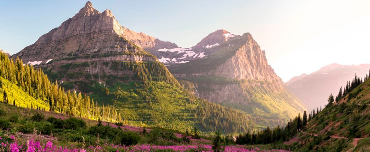 Natural landscape, Mountain, Sky, Plant, Flower, Ecoregion, Highland, Cloud, Tree