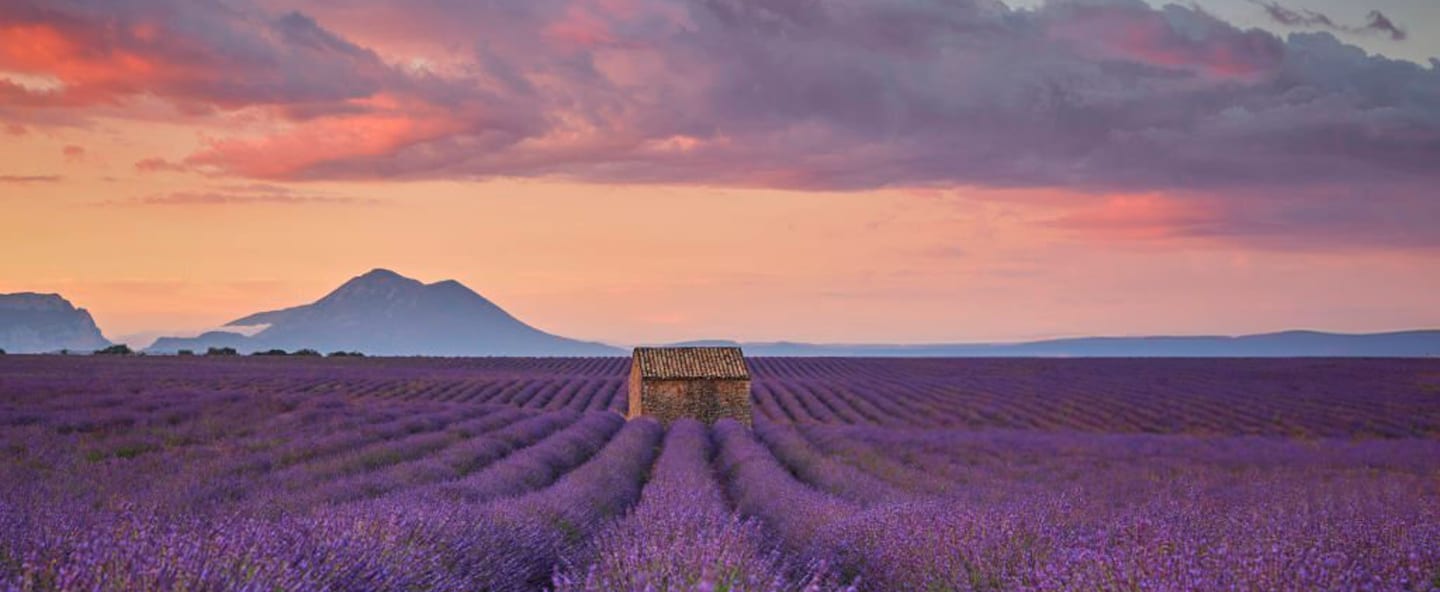 Natural landscape, Cloud, Sky, Plant, Flower, Purple
