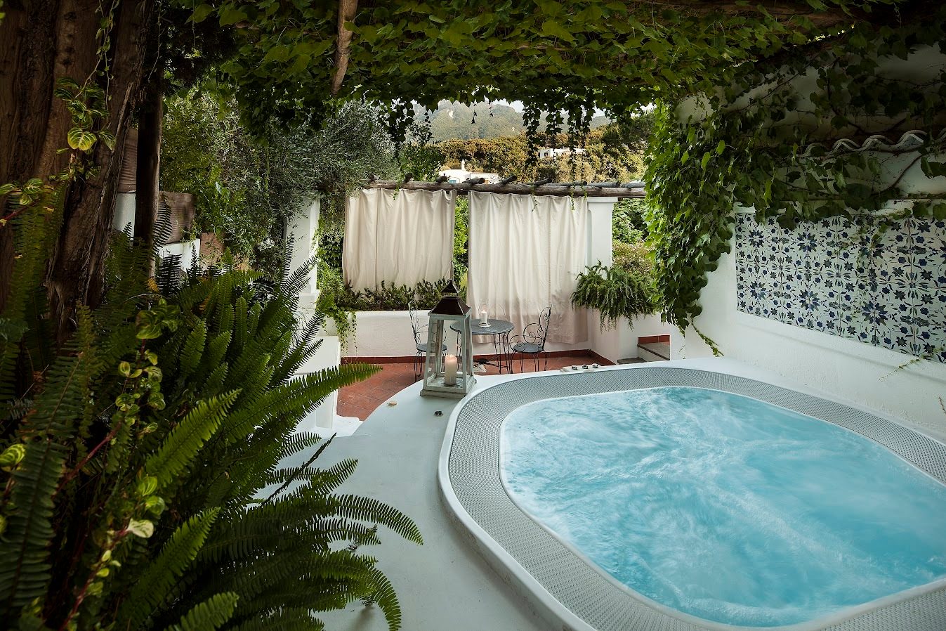 Swimming pool, Water, Plant, Property, Building, Botany, Shade, Leisure