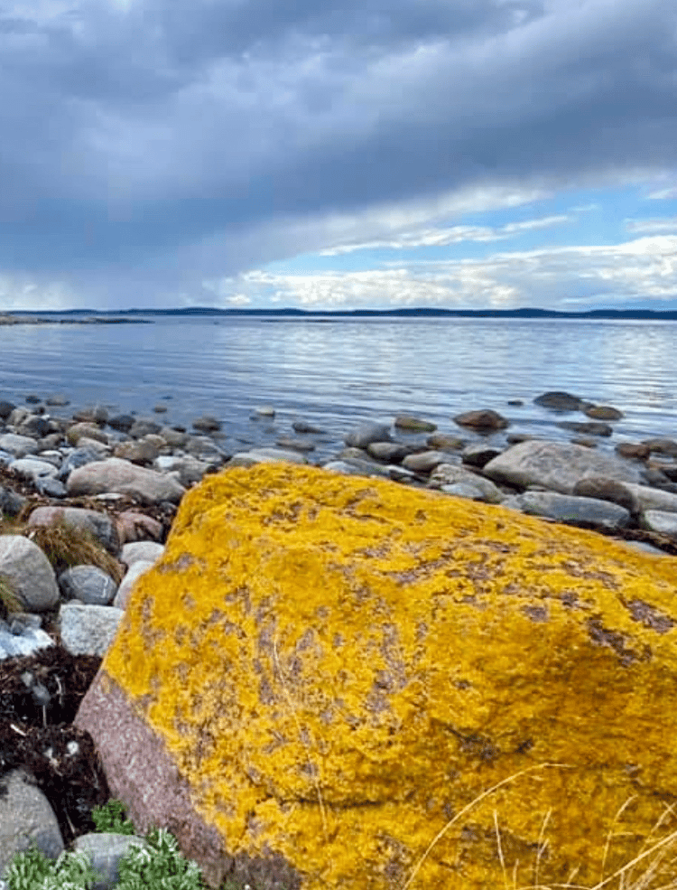 Natural landscape, Water, Cloud, Sky, Wood, Plant, Lake, Watercourse, Horizon