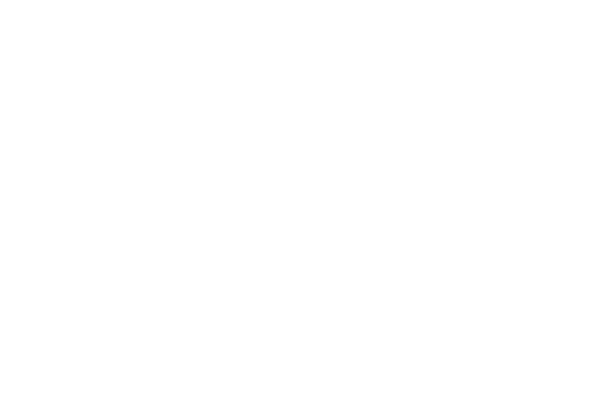 White icon: Brush cleaning a laptop screen with sparkles.