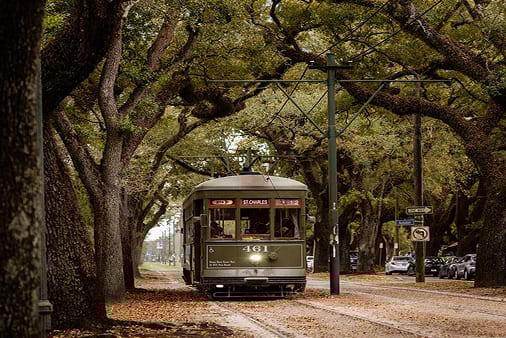 Green streetcar on tracks under a canopy of old oak trees in New Orleans.
