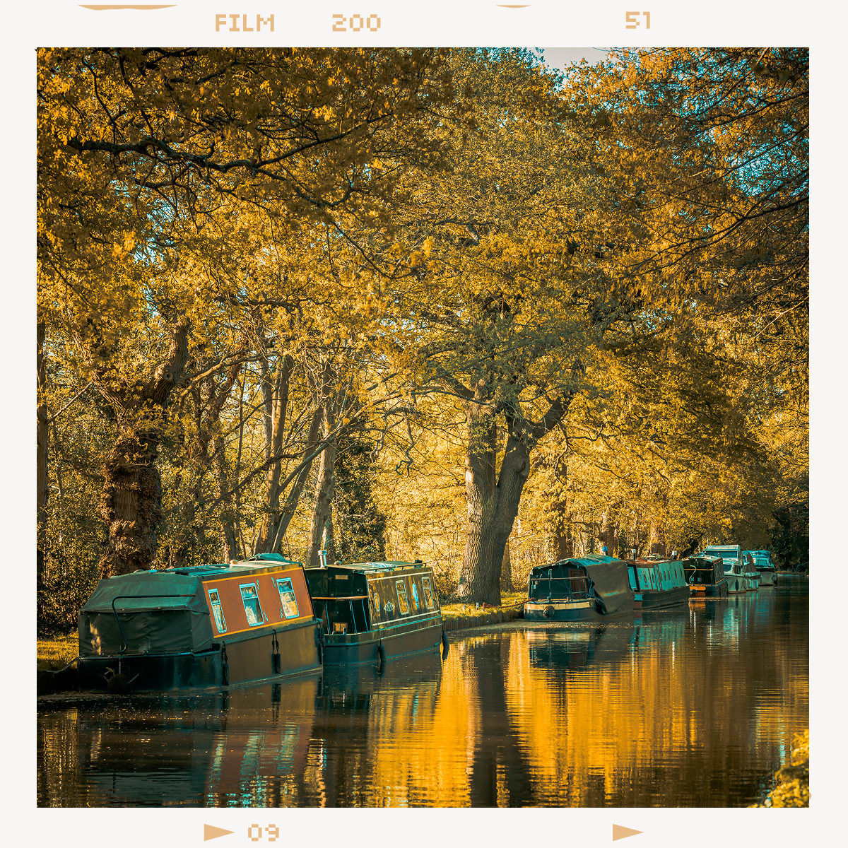 Narrowboats moored along a canal bank, framed by vibrant golden autumn trees and their reflections.