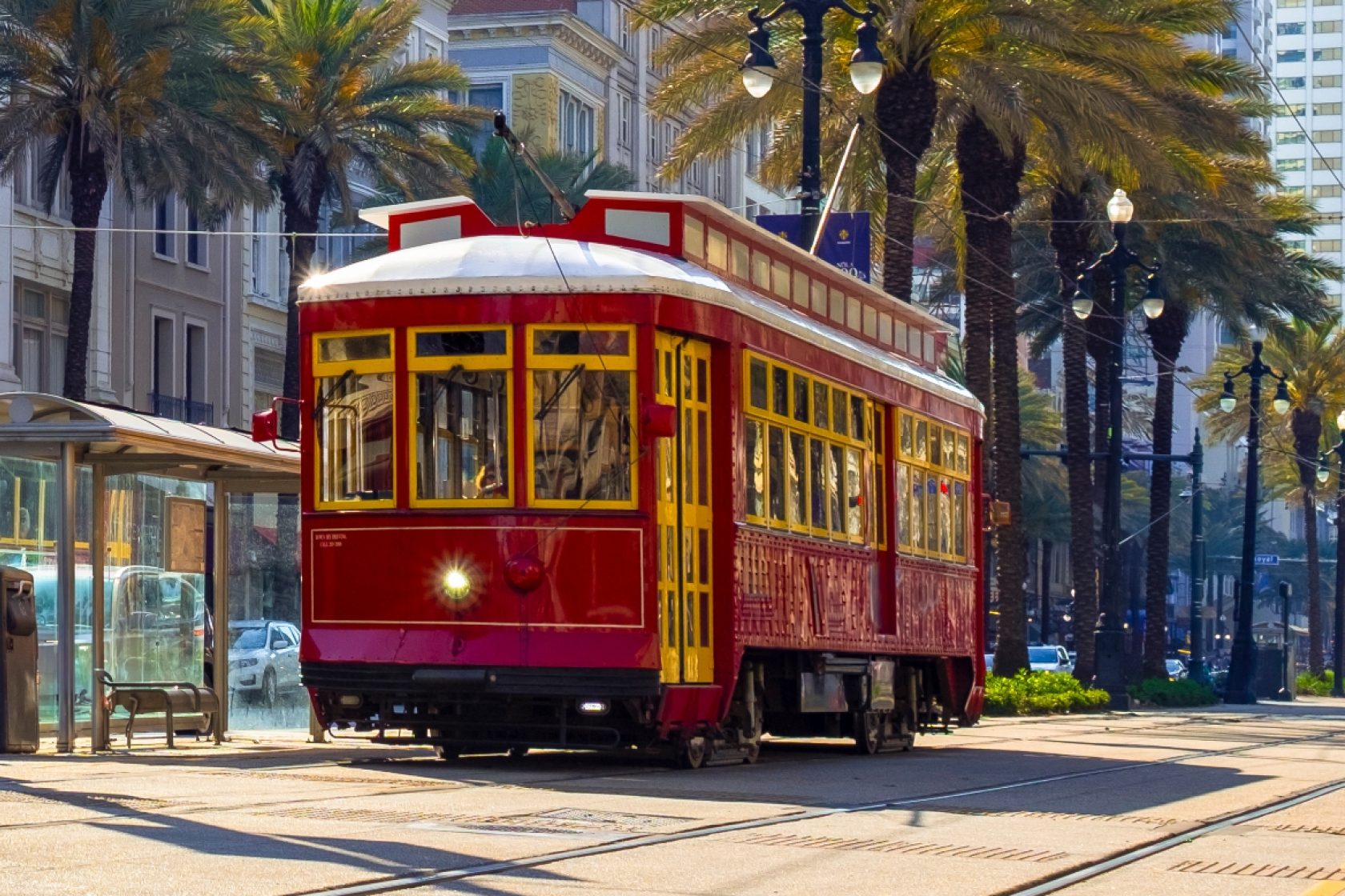 A red and yellow New Orleans streetcar on tracks, with palm trees and buildings in the background.