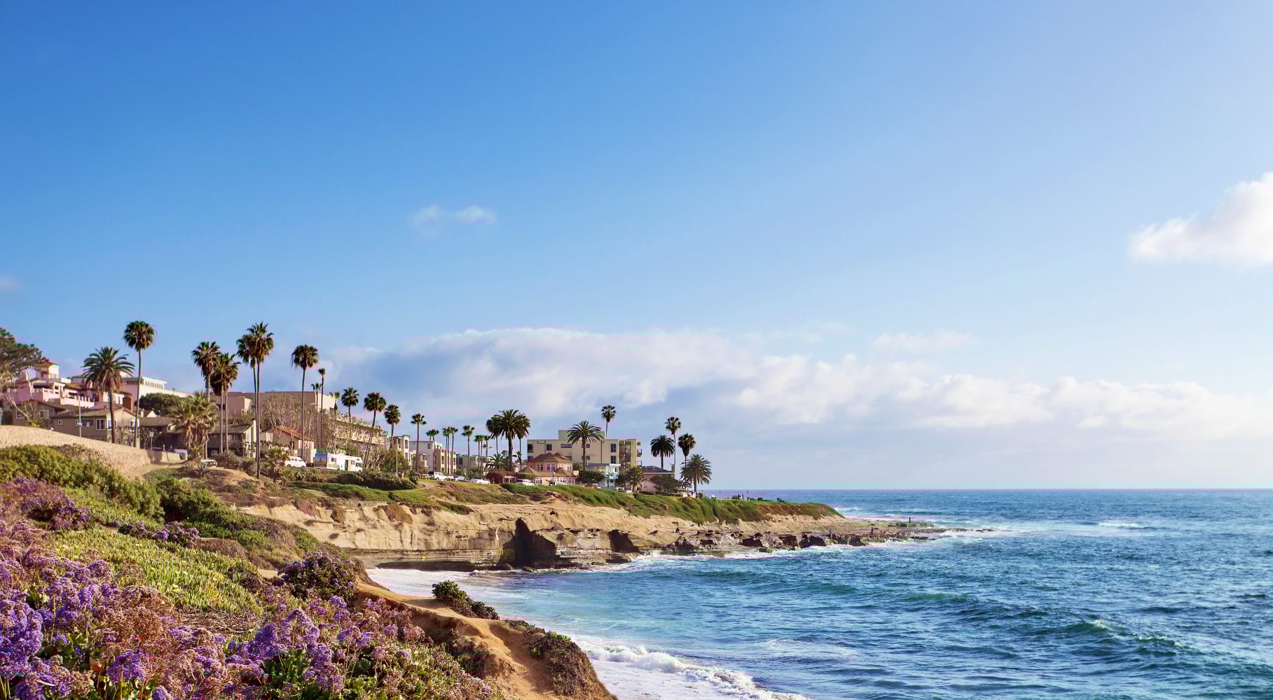 Palm-lined cliffs with buildings and purple flowers overlooking a blue ocean.