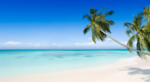 White sand beach, clear turquoise water, bright blue sky, and leaning palm trees on a tropical island.