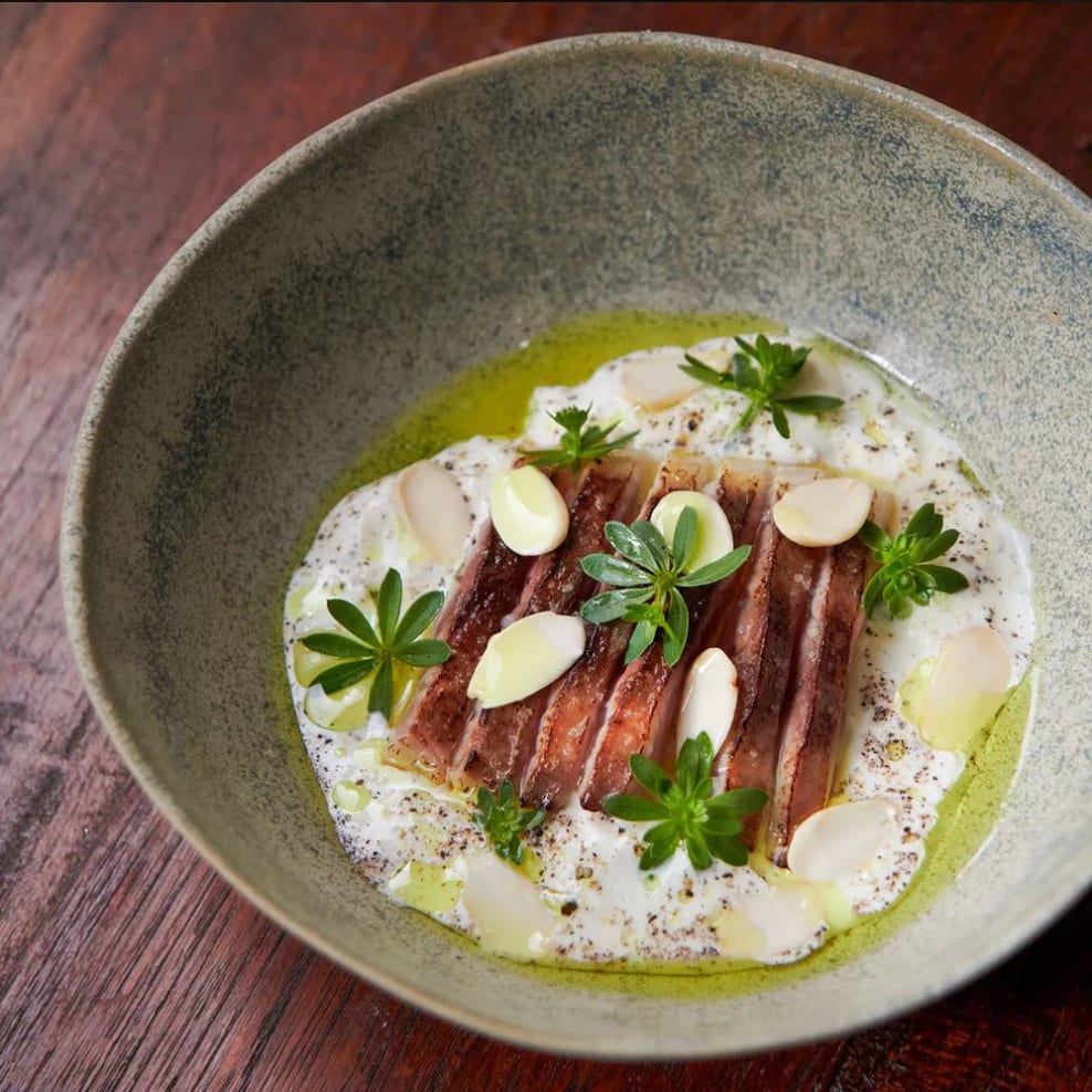 Sliced meat in white sauce with green herbs and white slices in a bowl.