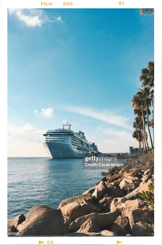 A large white cruise ship on blue water with rocks in the foreground and palm trees under a clear sky.