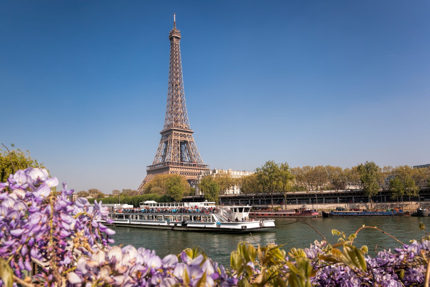 Eiffel Tower and a tour boat on the Seine, framed by vibrant purple wisteria in sunny Paris.