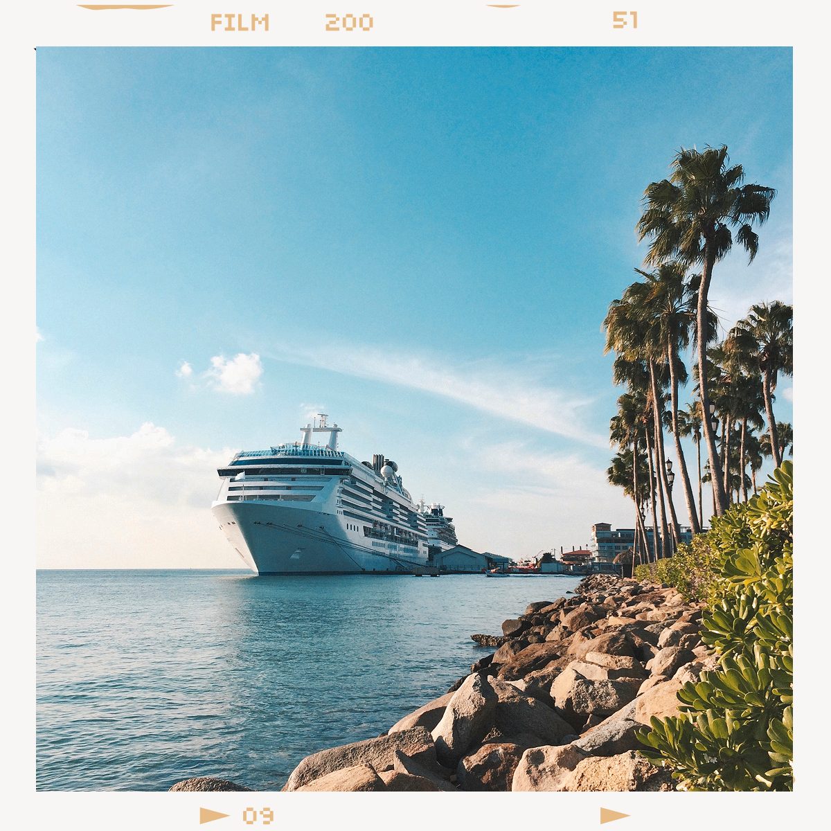 Large cruise ship docked by a tropical shoreline with palm trees and rocks under a blue sky.