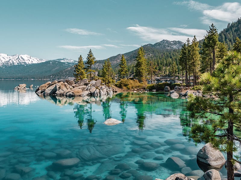 Stunning clear lake with submerged rocks, pine trees, and snow-capped peaks.