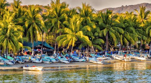 A vibrant tropical scene with numerous palm trees towering over a beach lined with small fishing boats.