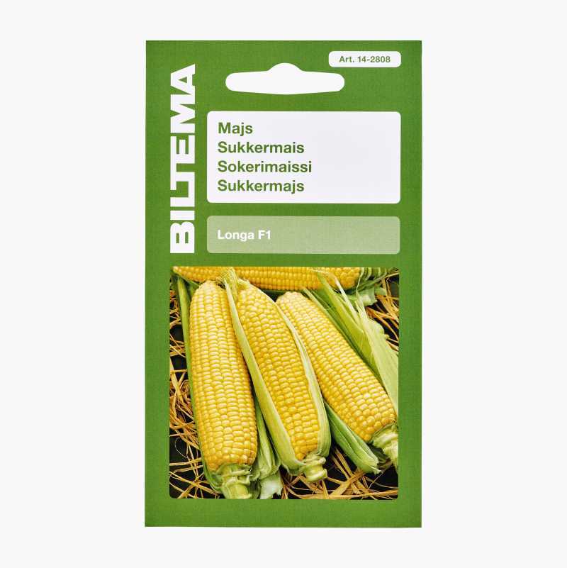 Corn kernel, Ingredient, Produce, Maize