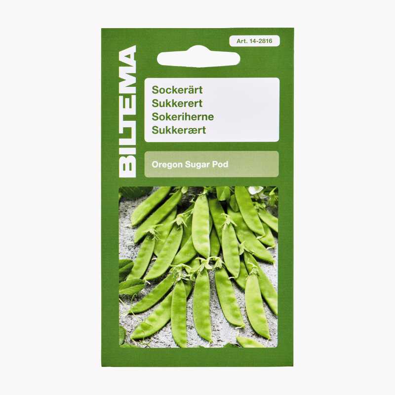 Legume