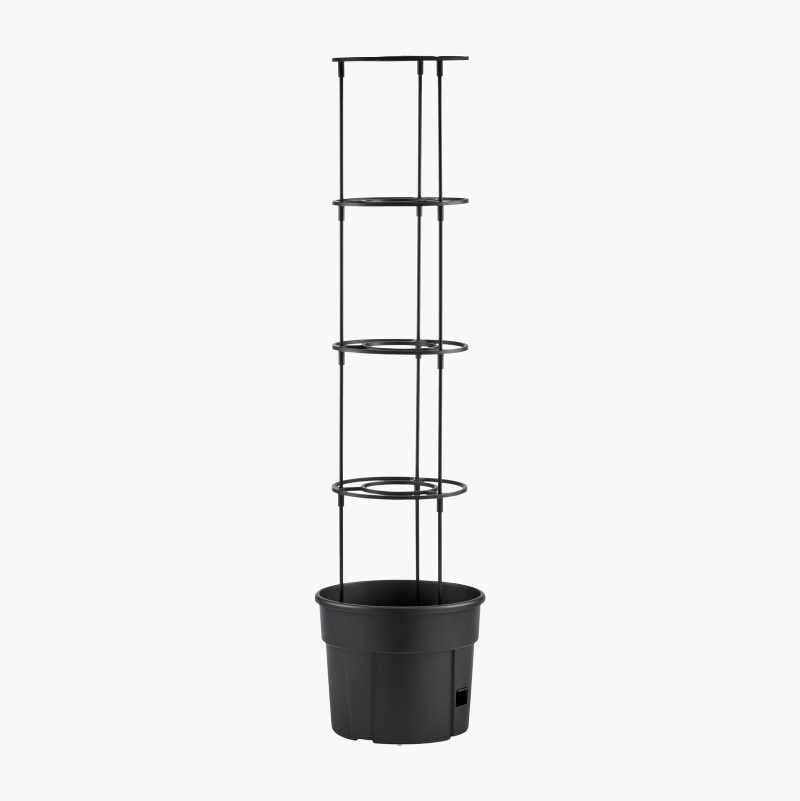 Flowerpot, Houseplant