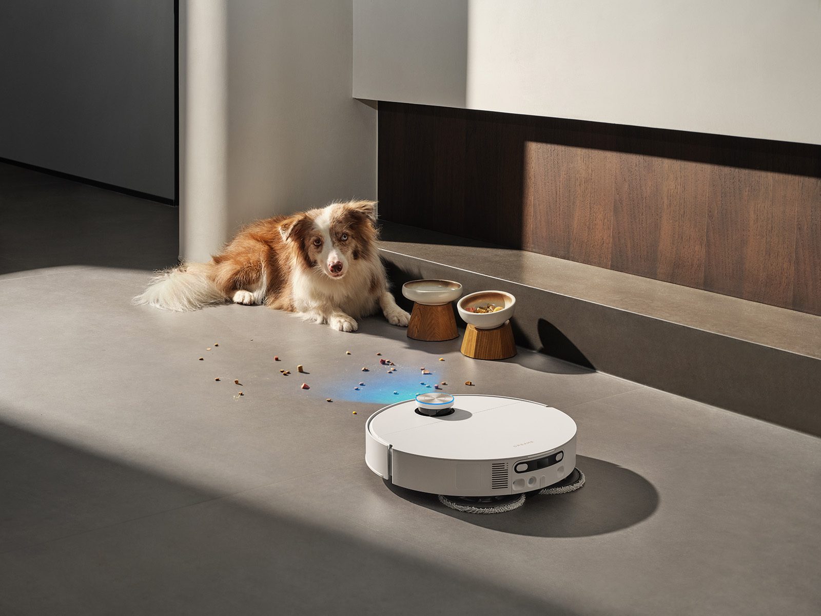 A dog watches as a robot vacuum cleans spilled pet food near its bowls on a gray floor.