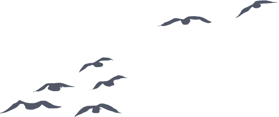 Birds flying against a green background.