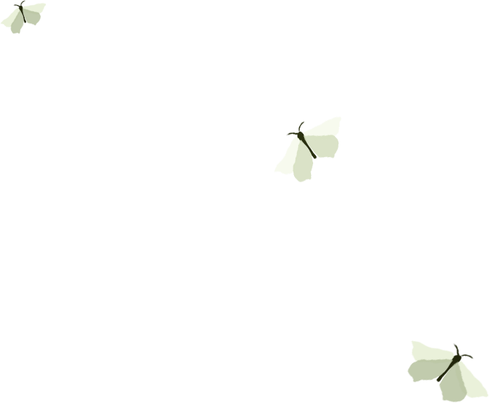 Three stylized white moths against a dark green background.
