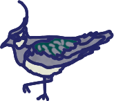 Cartoon bird with a crest and green wings.