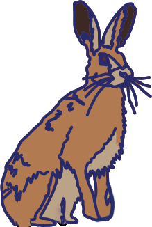 Brown hare illustration.