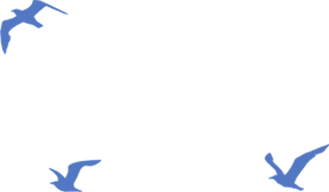 Three blue bird silhouettes flying in a triangle on a dark green background.