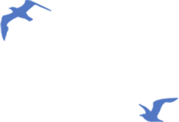 Two blue birds in flight against a green background.