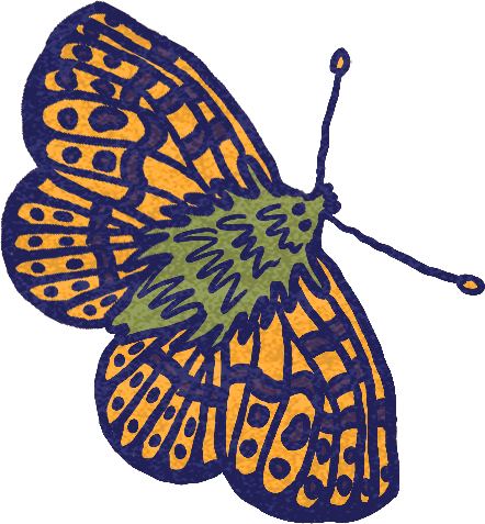 Orange and blue patterned butterfly with a green body.