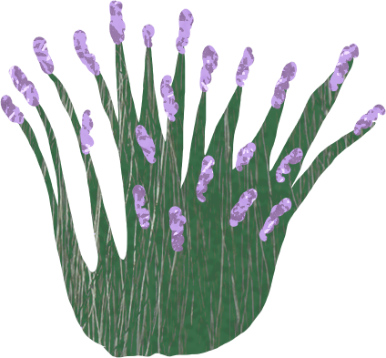 Purple lavender flowers with green stalks on a dark green background.