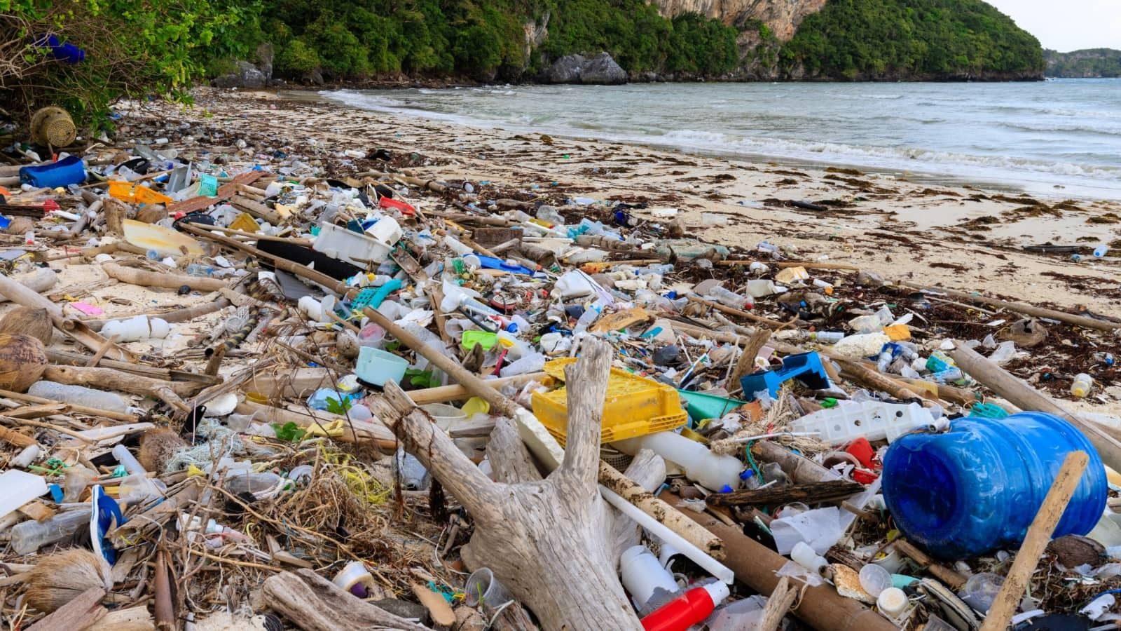 A beach heavily littered with plastic waste and other debris, with the ocean and green cliffs behind.