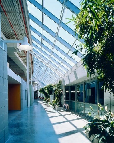 Bright hallway with a large glass skylight, plants, and sunlight.