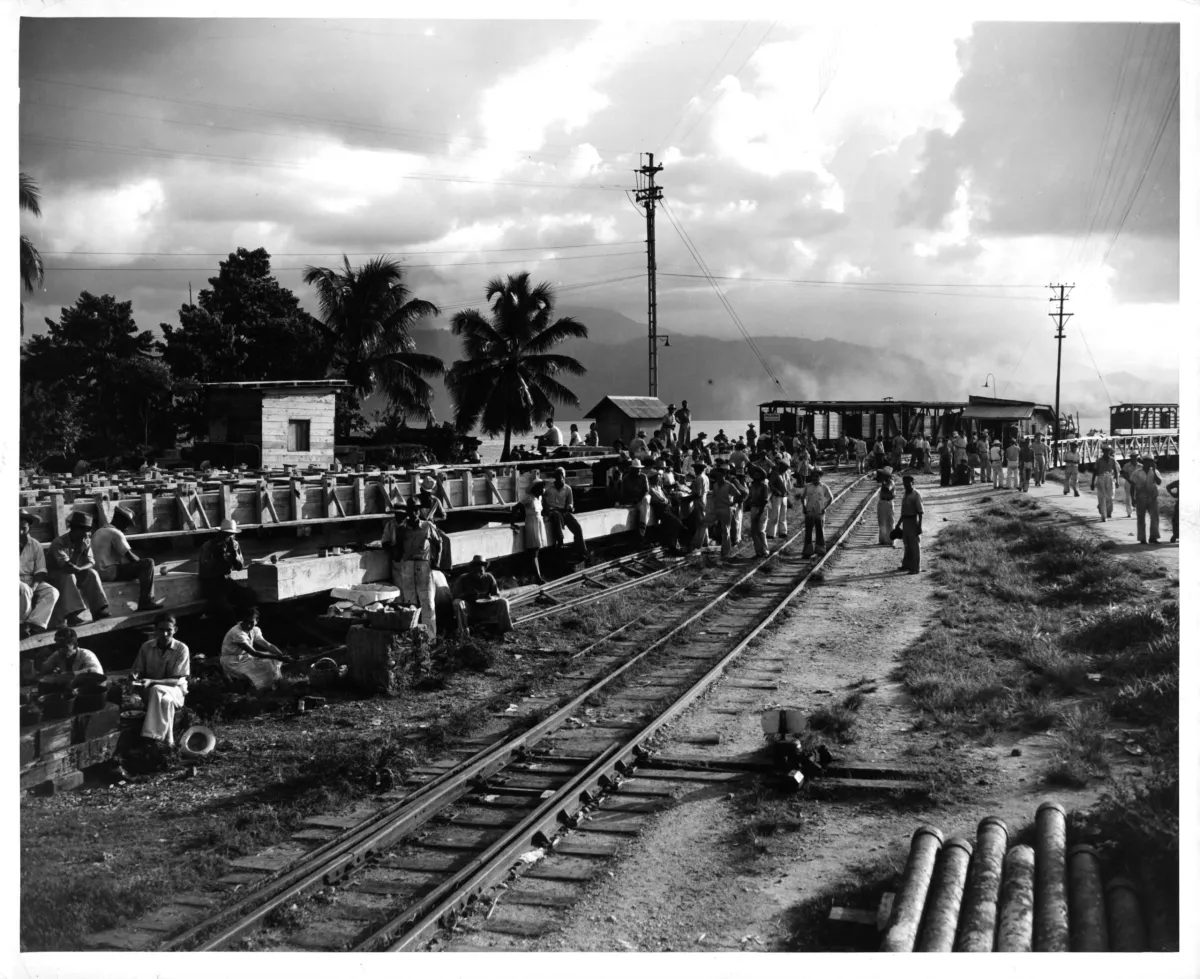 Cloud, Sky, Black, Track, Black-and-white, Tree, Style, Railway, Plant, Rolling