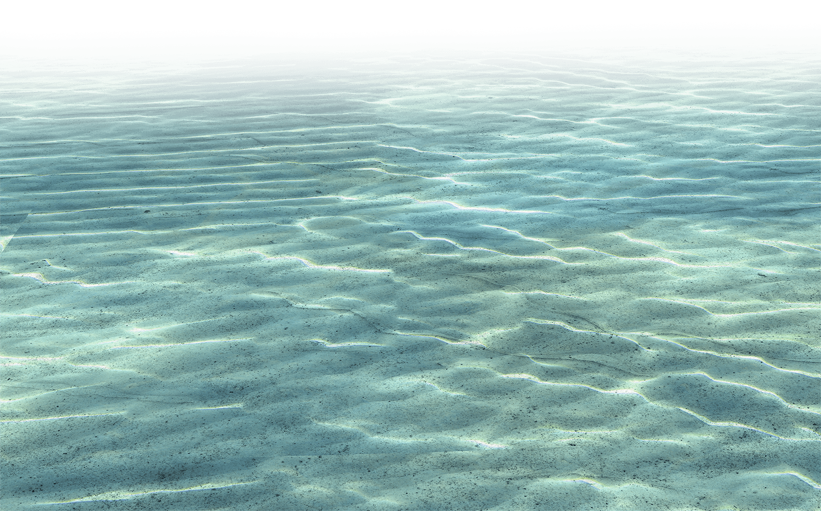 Coastal and oceanic landforms, Natural landscape, Water, Ecoregion